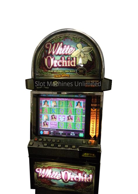 white orchid slot machine casino wins